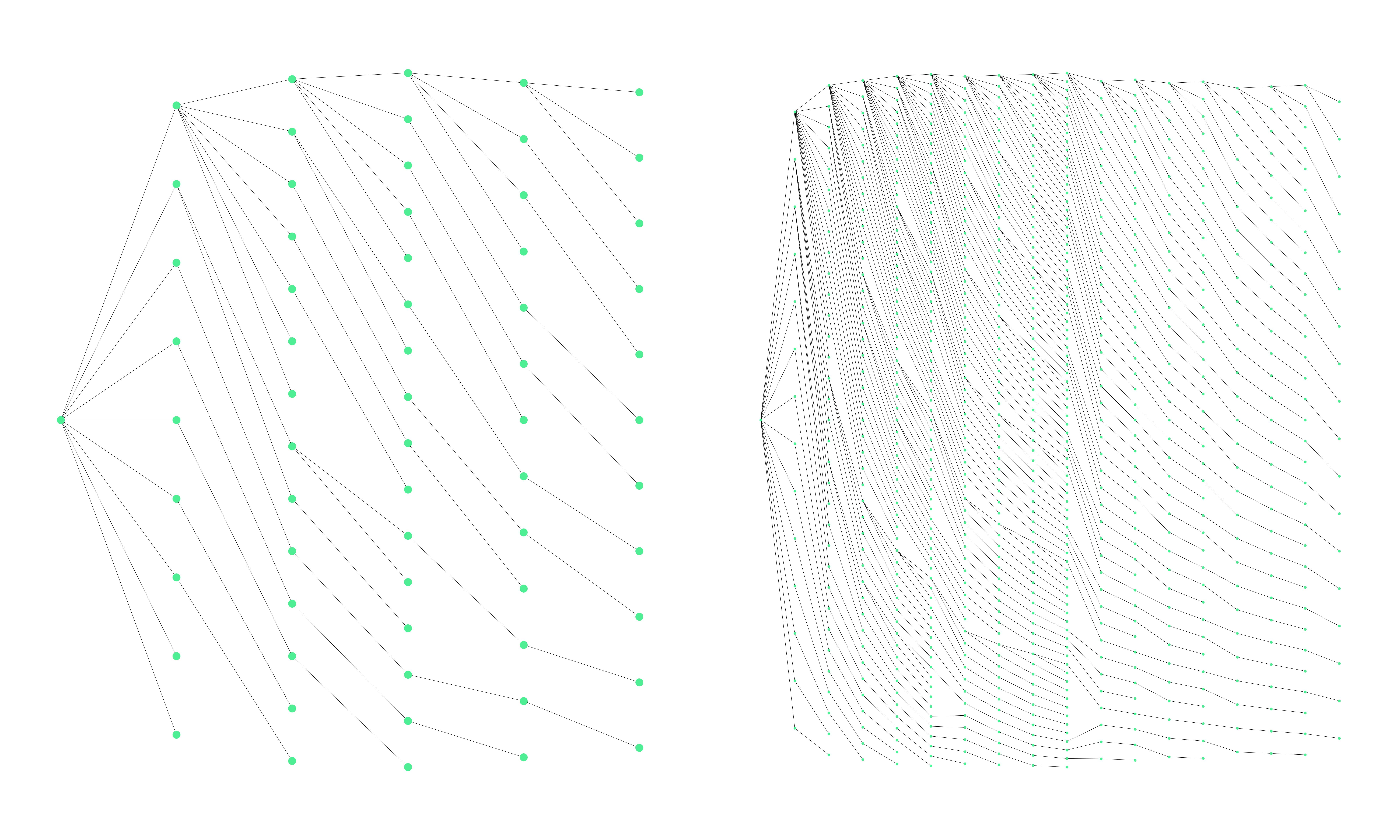 Tree Shape