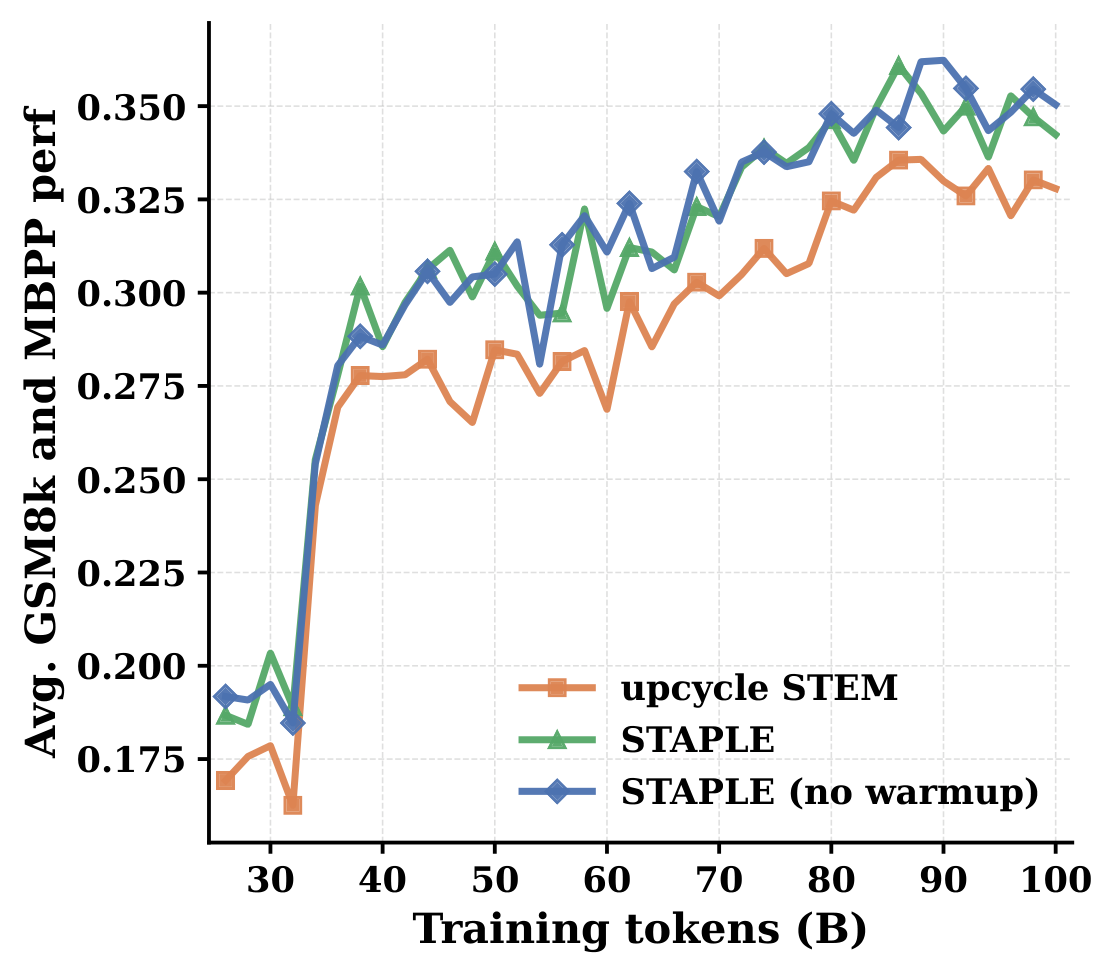 Average of GSM8K and MBPP versus training tokens for upcycled STEM, STAPLE, and STAPLE without warmup. The two STAPLE variants track each other closely; upcycled STEM sits below them.