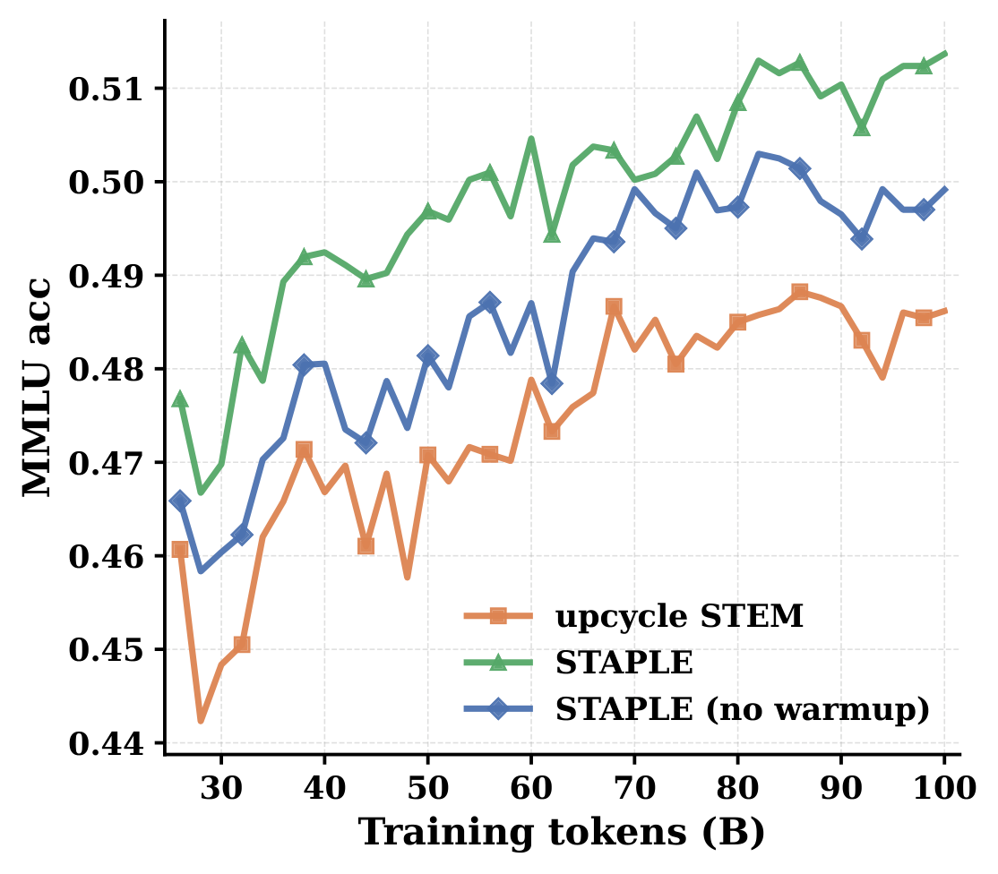 MMLU accuracy versus training tokens for upcycled STEM, STAPLE, and STAPLE without warmup. STAPLE is highest throughout, STAPLE without warmup is in the middle, and upcycled STEM is lowest.