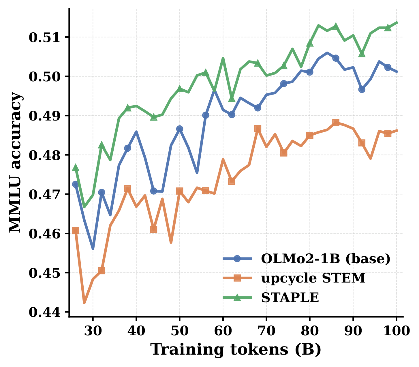 MMLU accuracy versus training tokens for the dense OLMo-2 1B baseline, upcycled STEM and STAPLE. STAPLE runs above the baseline from early in training and ends near 0.51; upcycled STEM stays below the baseline throughout.